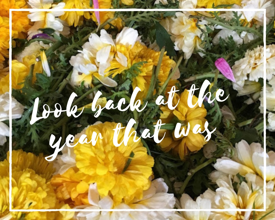 2018 in review, 2018, moonlitekingdom, digital nomad, switzerland, hampi, slow travel, move to Goa, 2019 plans, review blog